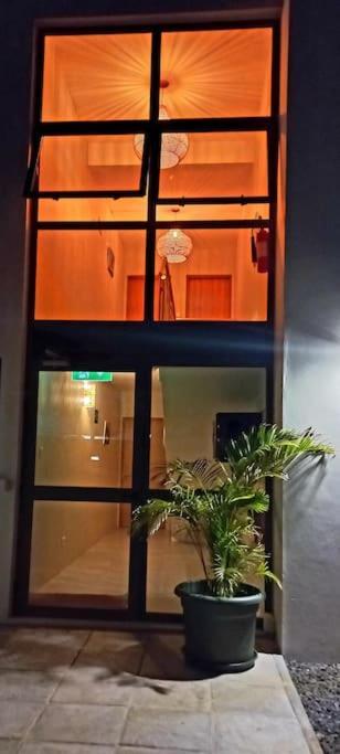 Bois Mapou Self Catering Apartments Unit 204 Rivière Noire エクステリア 写真